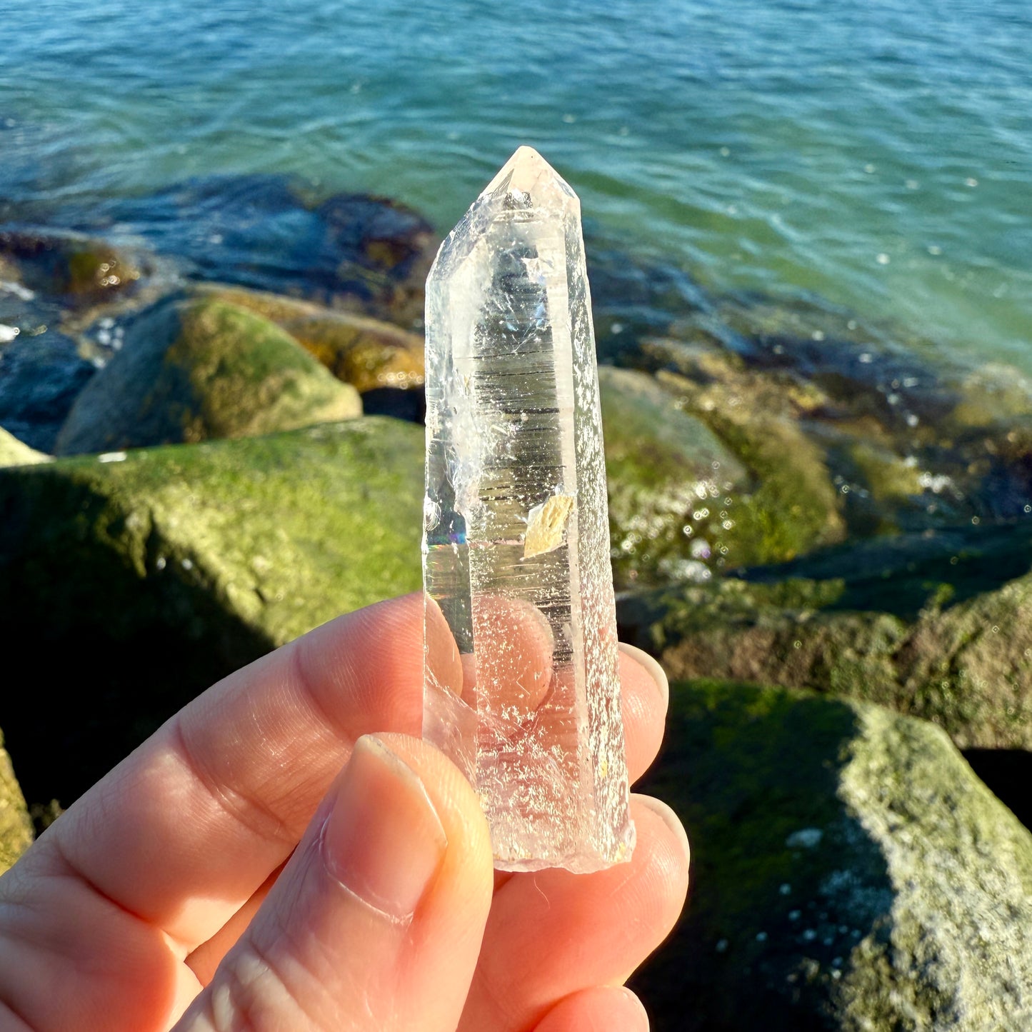 Lemurian Quartz Starbrary Crystal