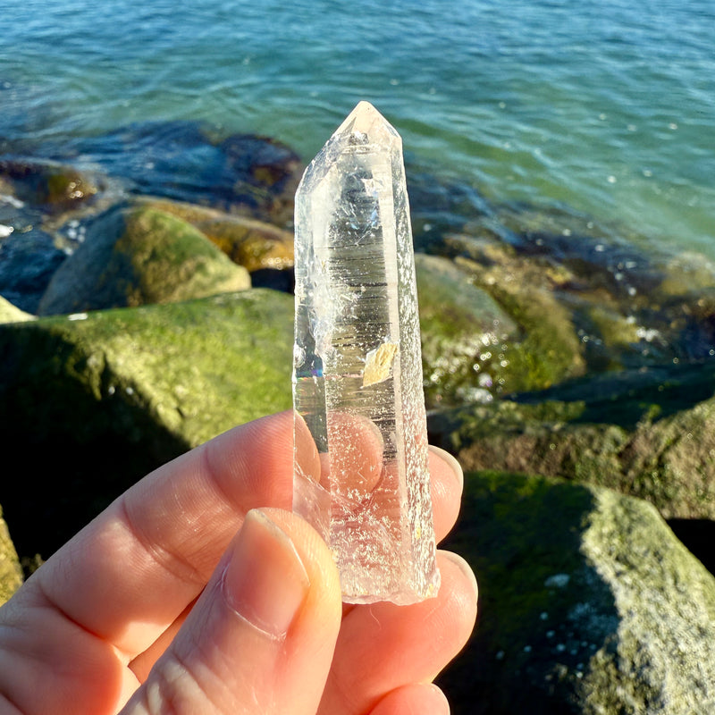 Lemurian Quartz Starbrary Crystal