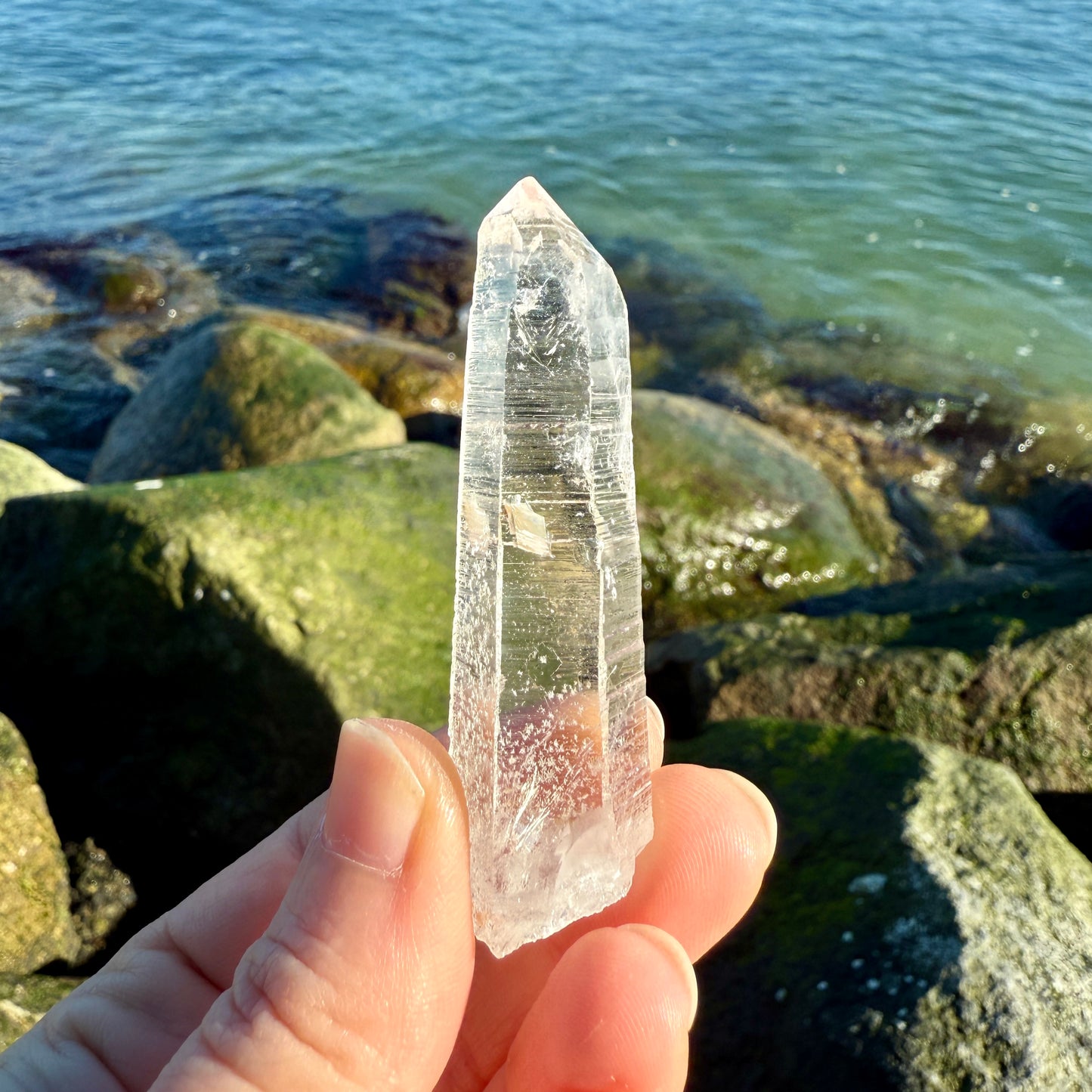 Lemurian Quartz Starbrary Crystal