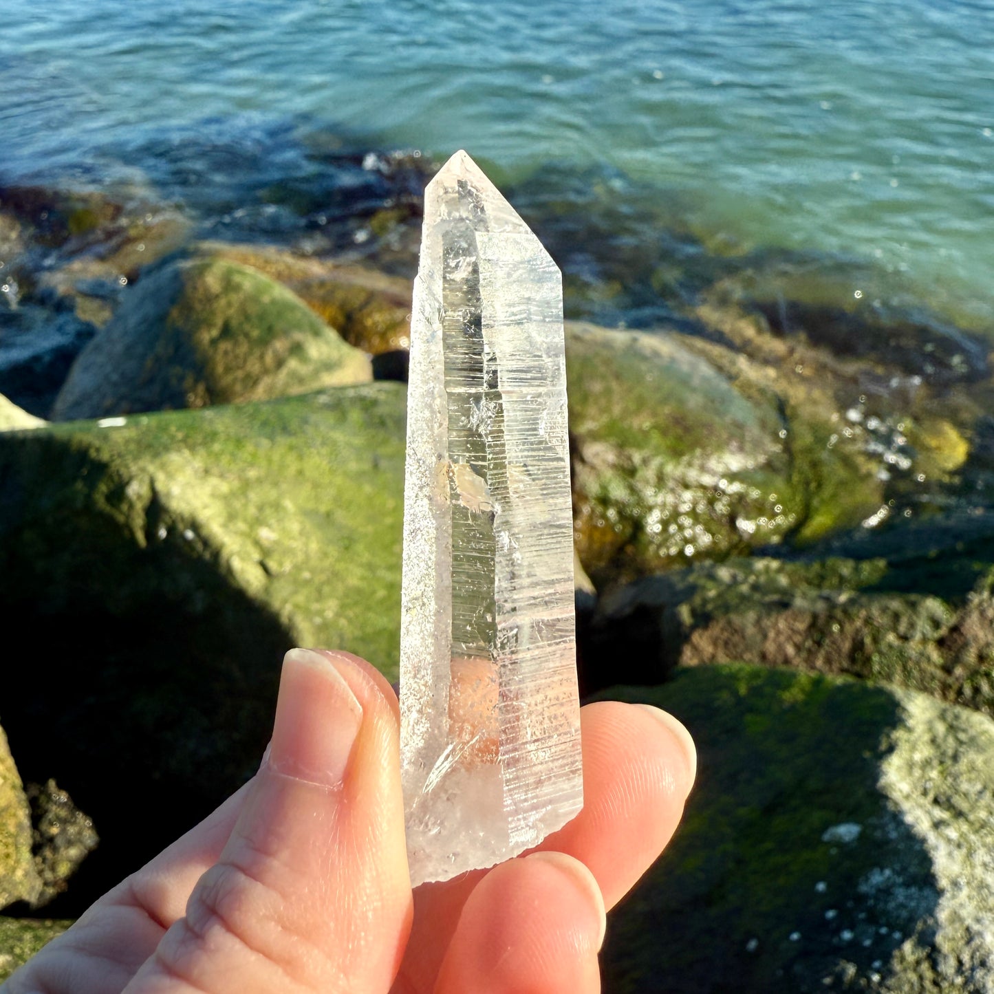 Lemurian Quartz Starbrary Crystal