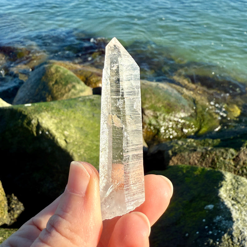 Lemurian Quartz Starbrary Crystal