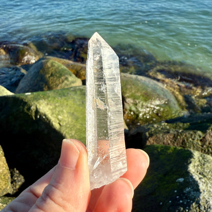 Lemurian Quartz Starbrary Crystal