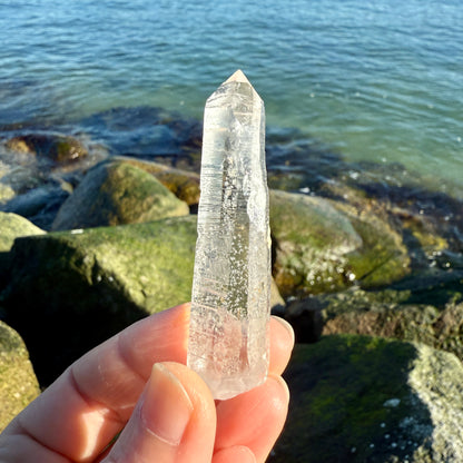 Lemurian Quartz Starbrary Crystal