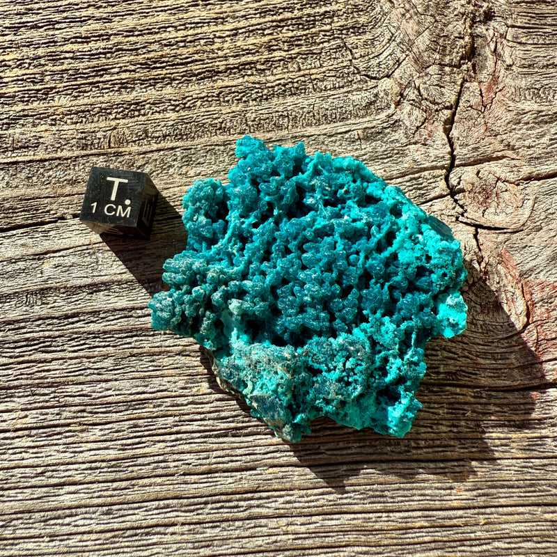 Chrysocolla - Raw Mineral Specimen