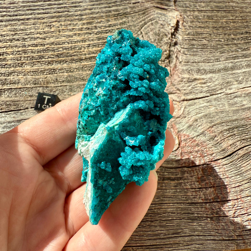 Chrysocolla - Raw Mineral Specimen