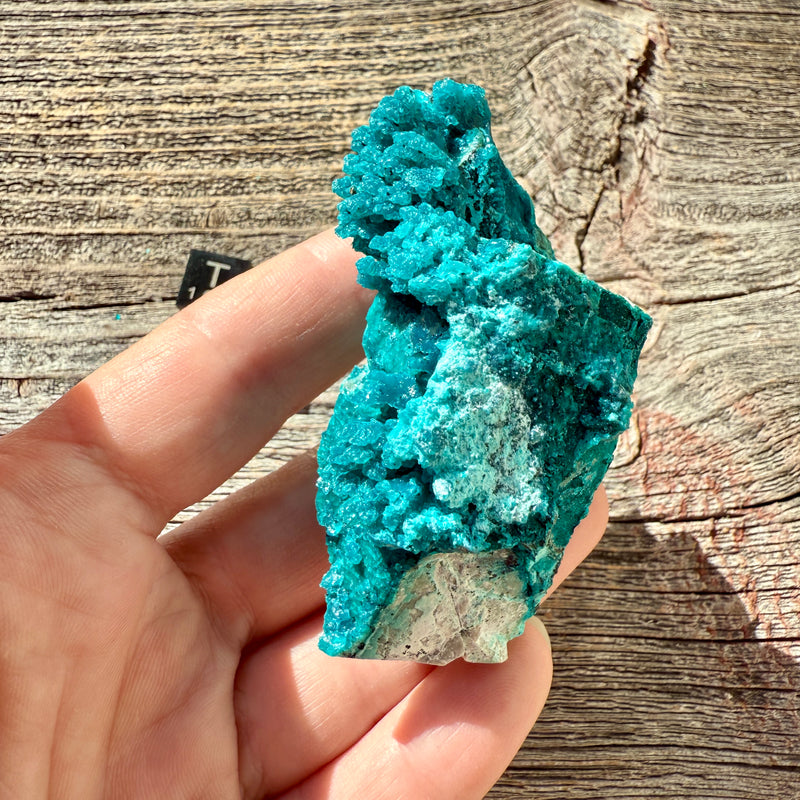 Chrysocolla - Raw Mineral Specimen