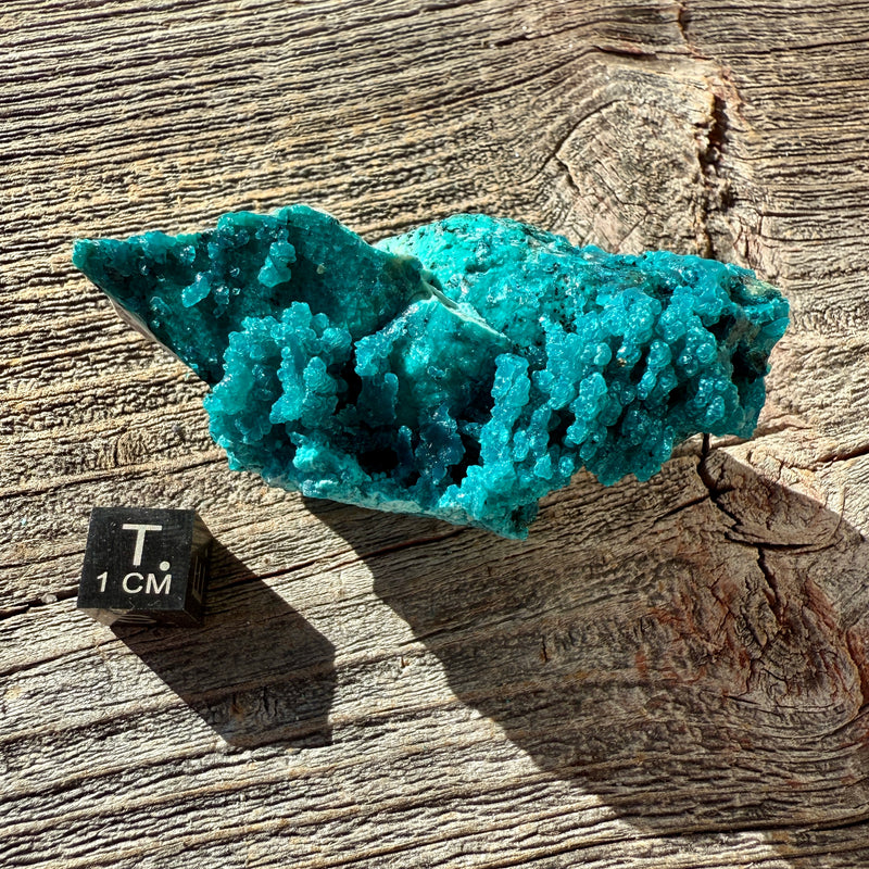 Chrysocolla - Raw Mineral Specimen