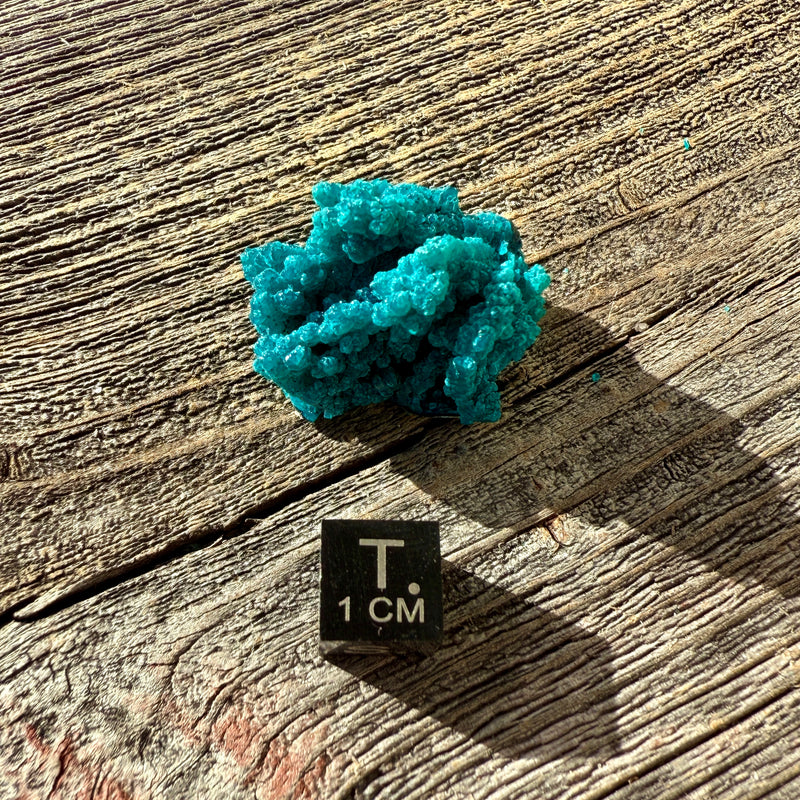 Chrysocolla - Raw Mineral Specimen