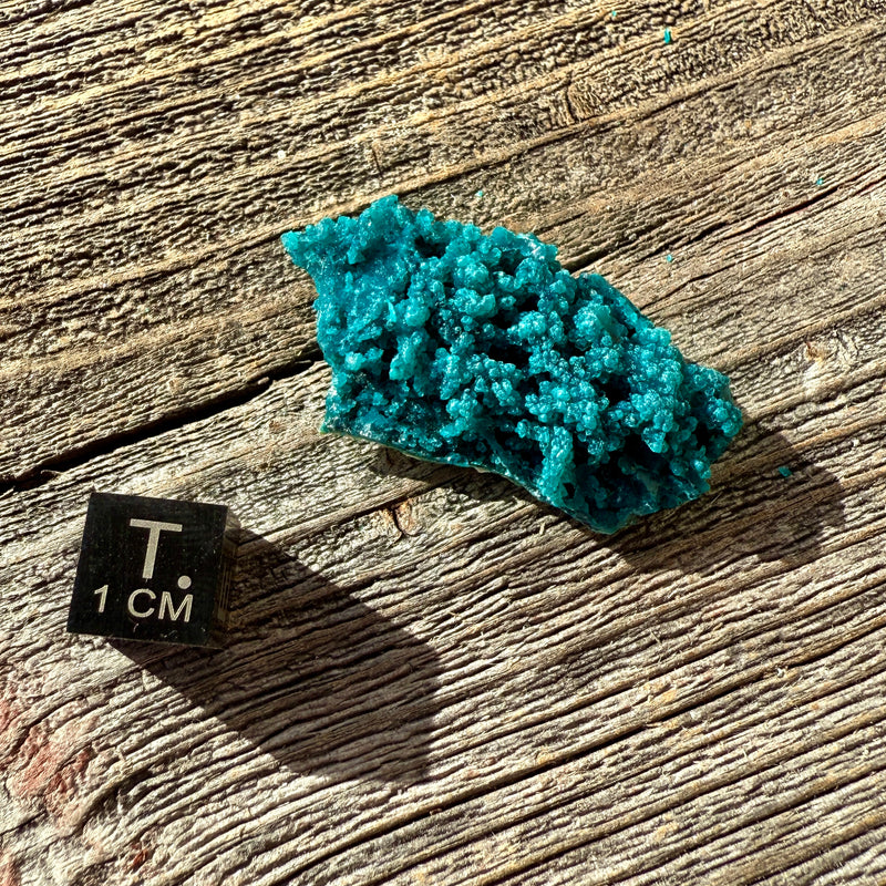Chrysocolla - Raw Mineral Specimen
