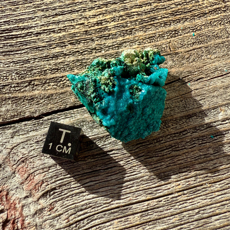 Chrysocolla - Raw Mineral Specimen