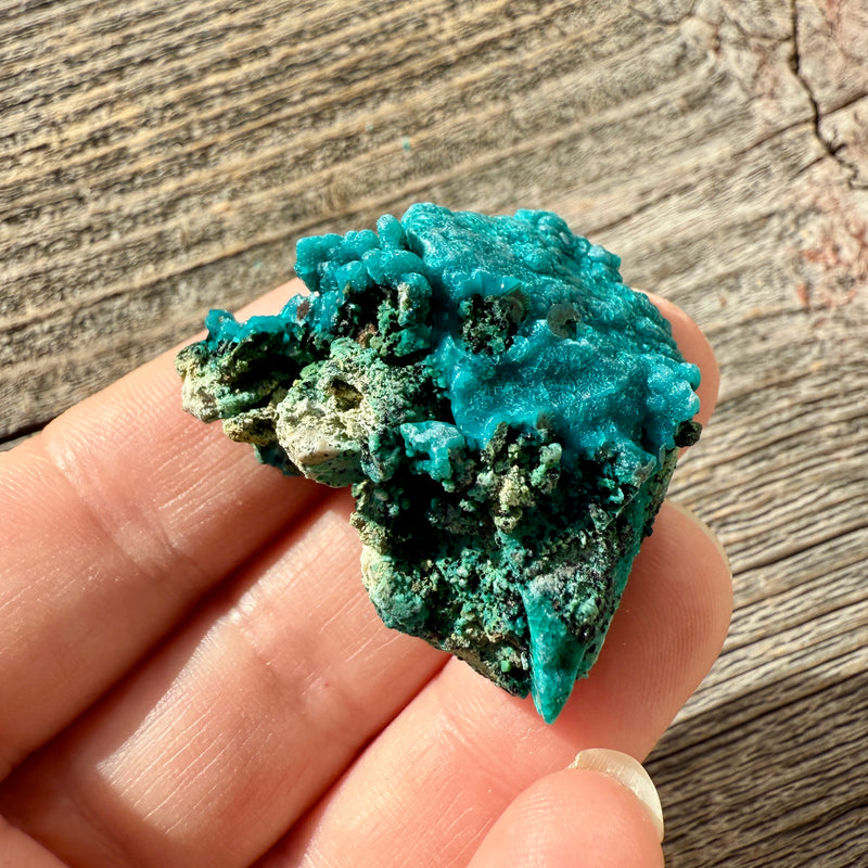 Chrysocolla - Raw Mineral Specimen