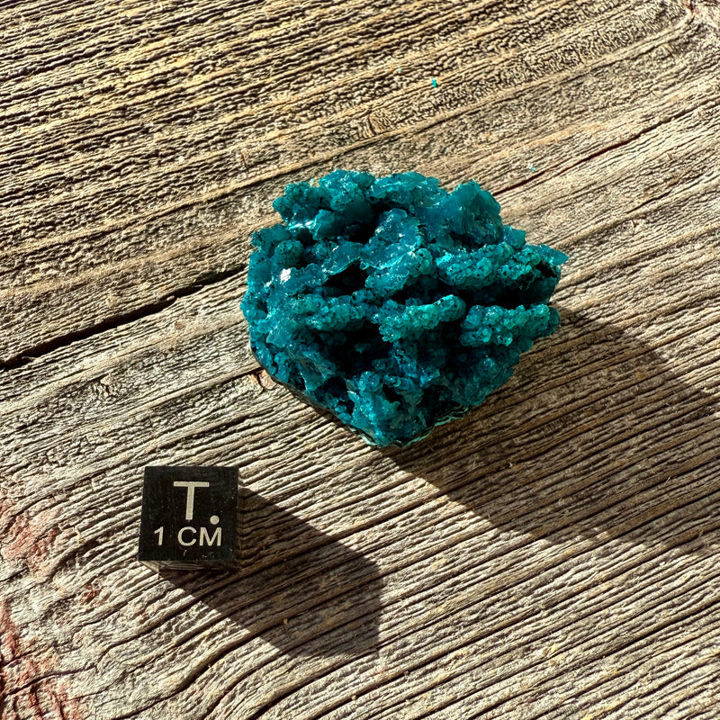 Chrysocolla - Raw Mineral Specimen