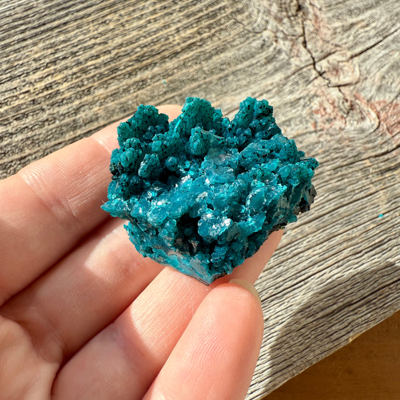 Chrysocolla - Raw Mineral Specimen