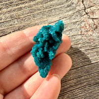 Chrysocolla - Raw Mineral Specimen