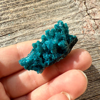 Chrysocolla - Raw Mineral Specimen
