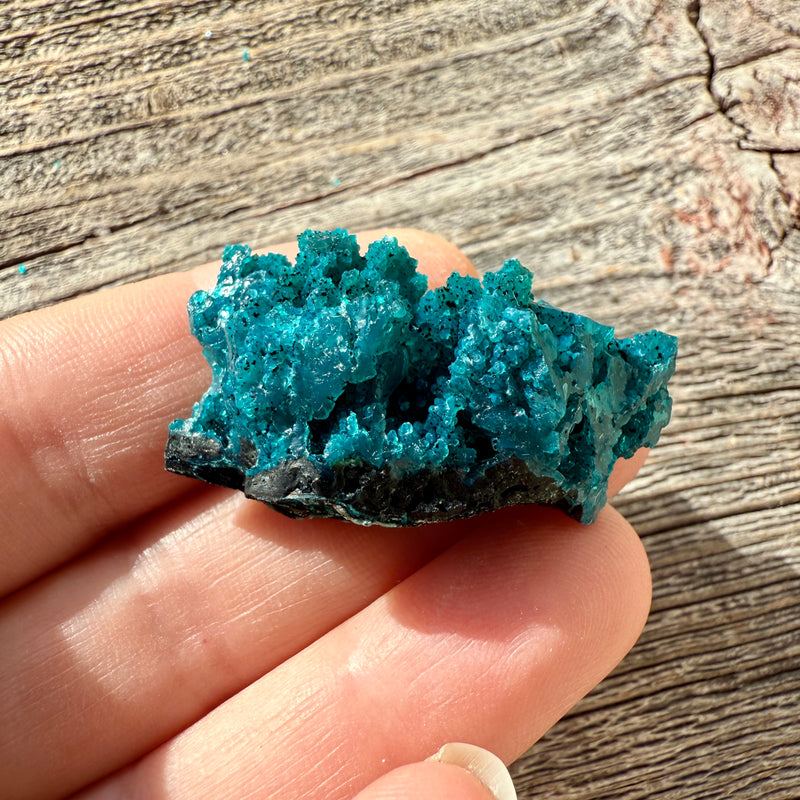 Chrysocolla - Raw Mineral Specimen