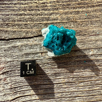 Chrysocolla - Raw Mineral Specimen