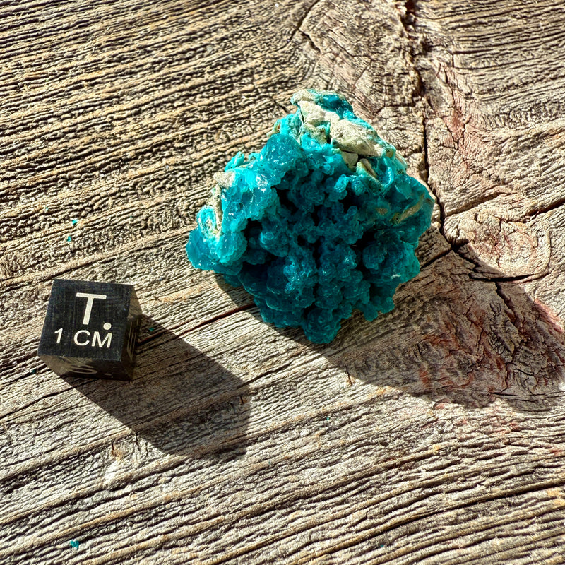 Chrysocolla - Raw Mineral Specimen