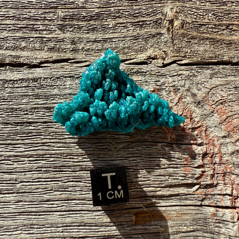 Chrysocolla - Raw Mineral Specimen