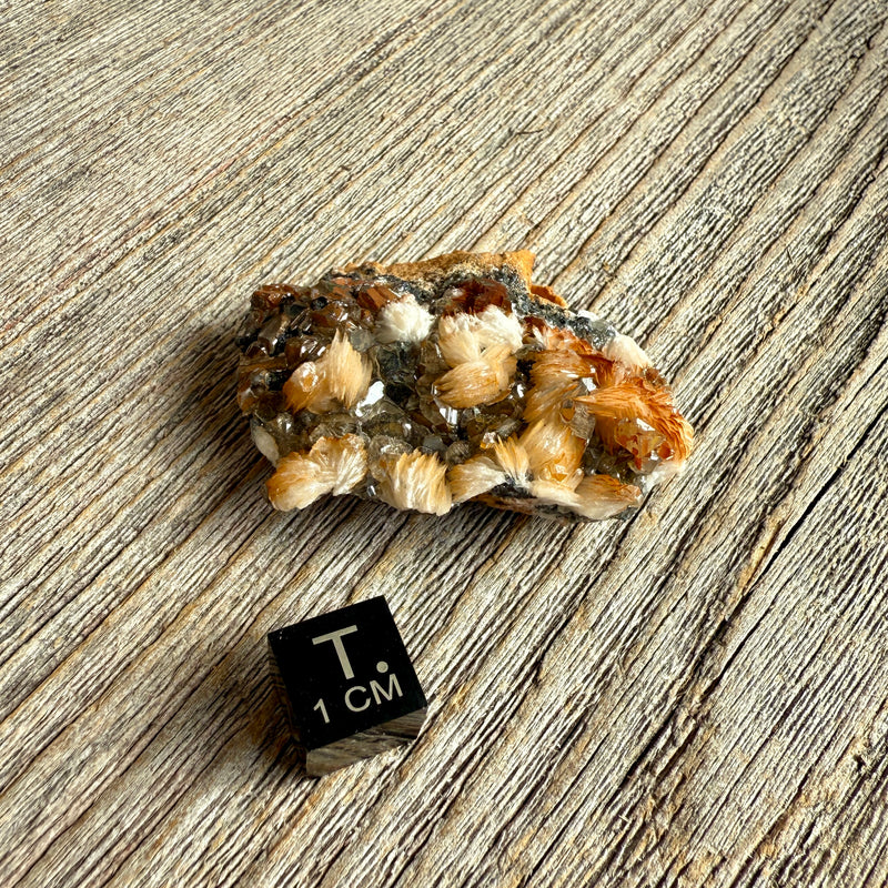 Cerussite with Barite and Galena - Raw Mineral Specimen