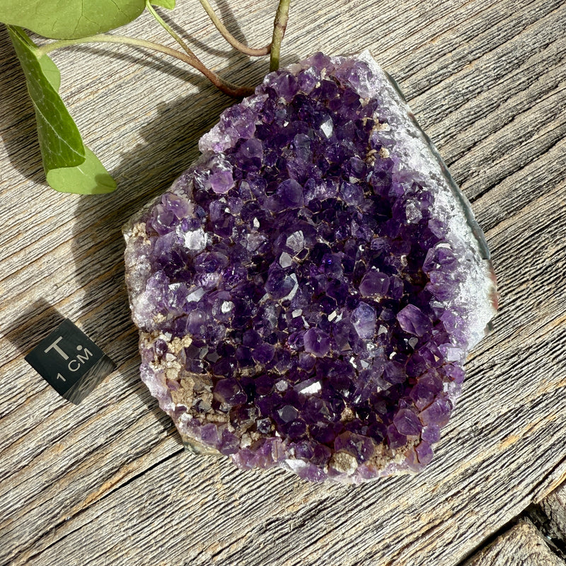 Amethyst Crystal Cluster