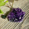 Amethyst Crystal Cluster