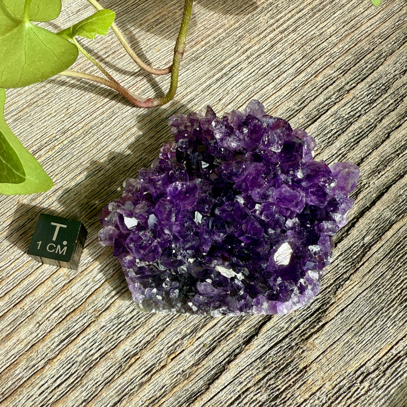 Amethyst Crystal Cluster