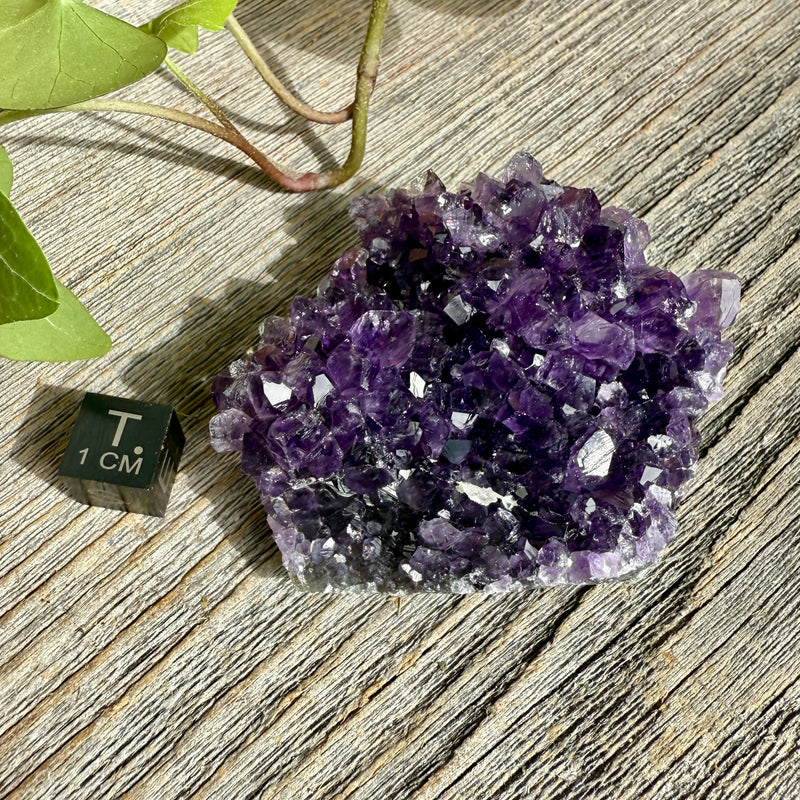 Amethyst Crystal Cluster