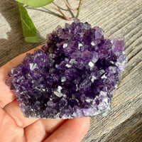 Amethyst Crystal Cluster