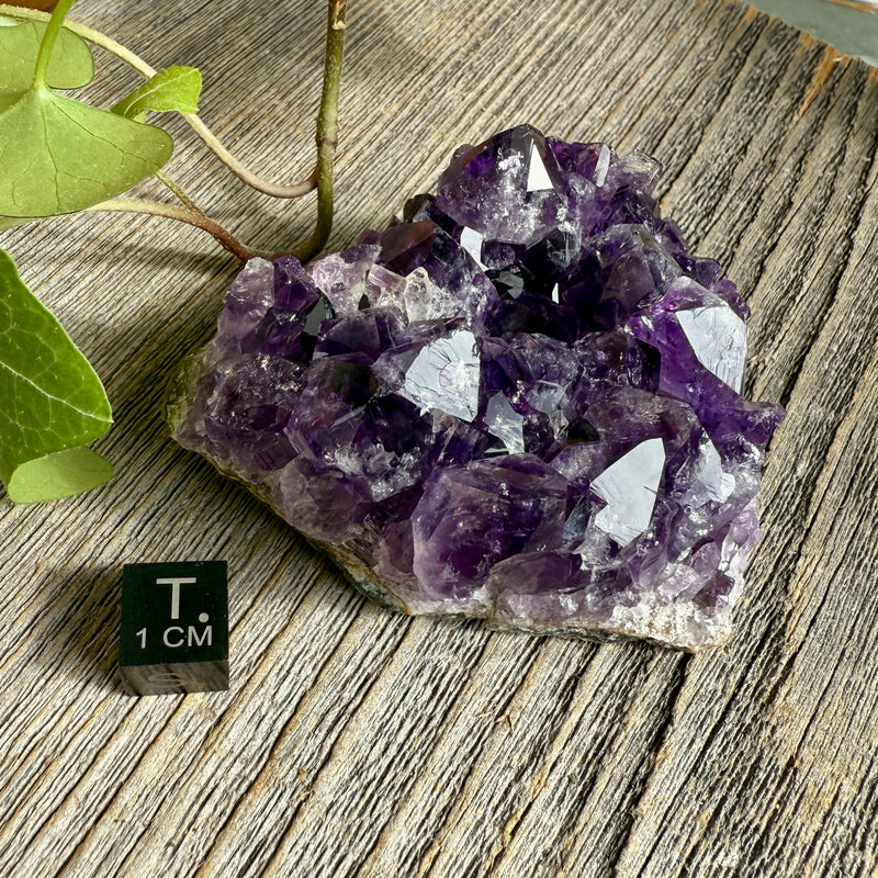 Amethyst Crystal Cluster