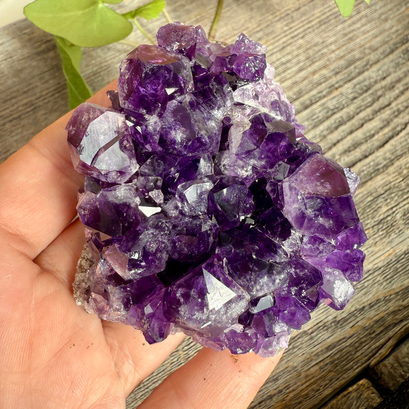 Amethyst Crystal Cluster