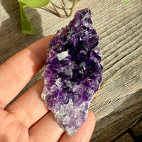 Amethyst Crystal Cluster