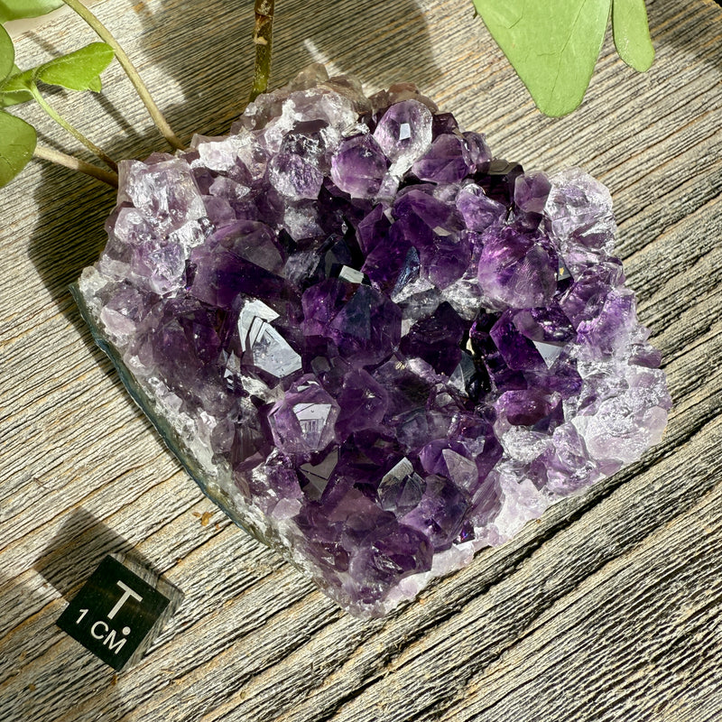 Amethyst Crystal Cluster