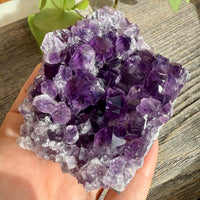 Amethyst Crystal Cluster