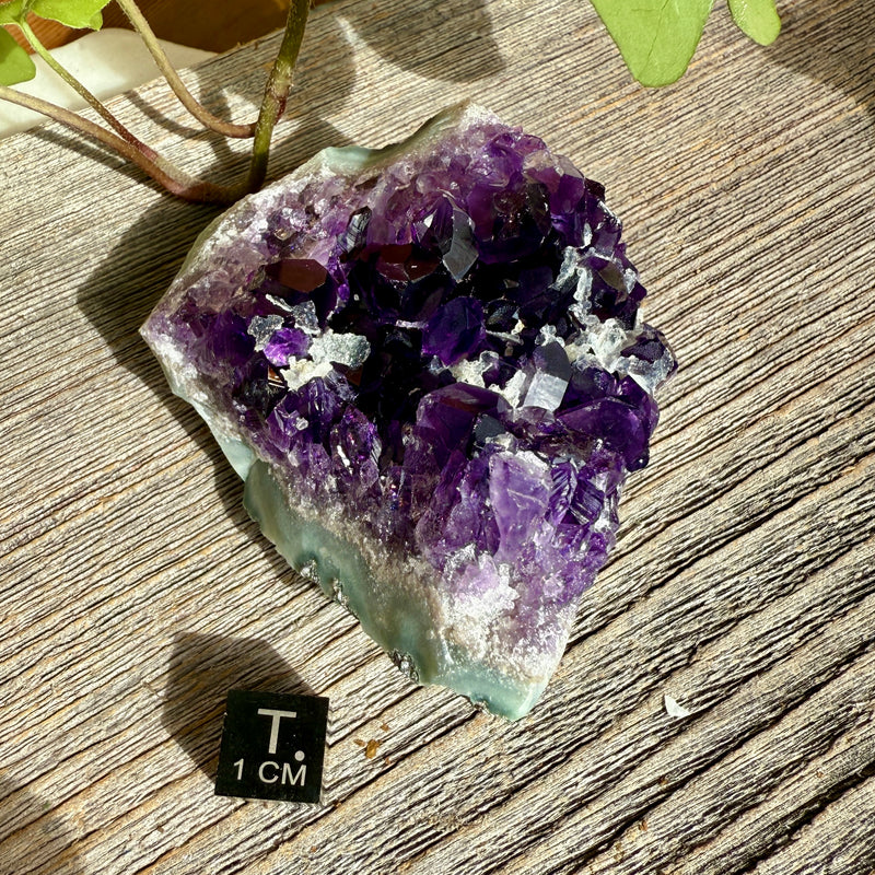Amethyst Crystal Cluster
