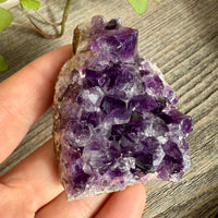 Amethyst Crystal Cluster