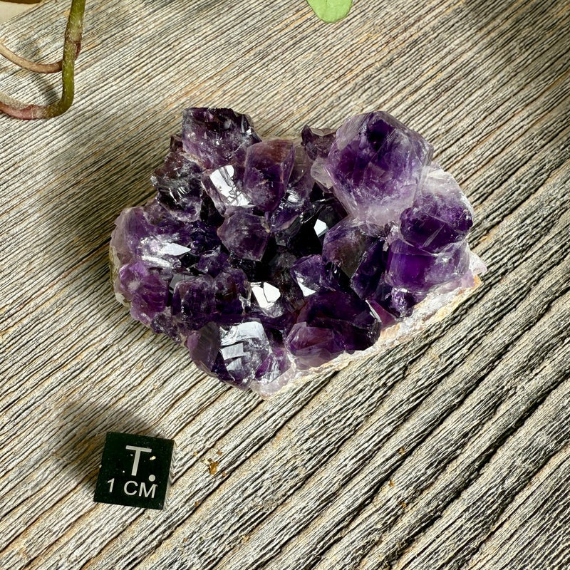 Amethyst Crystal Cluster