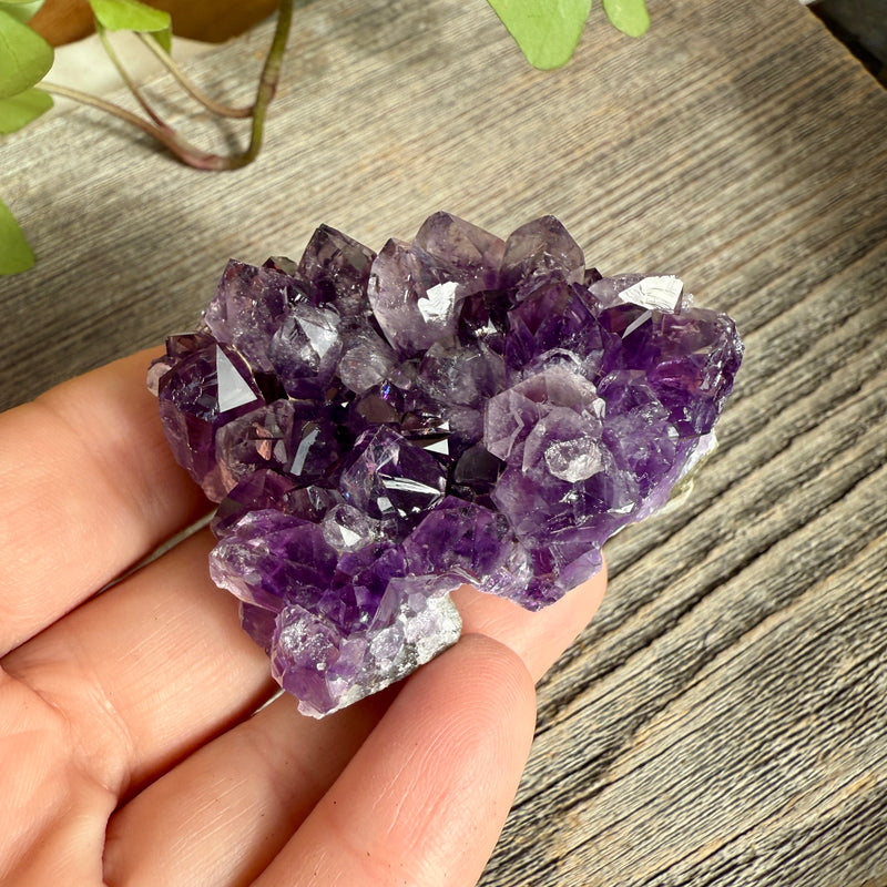 Amethyst Crystal Cluster