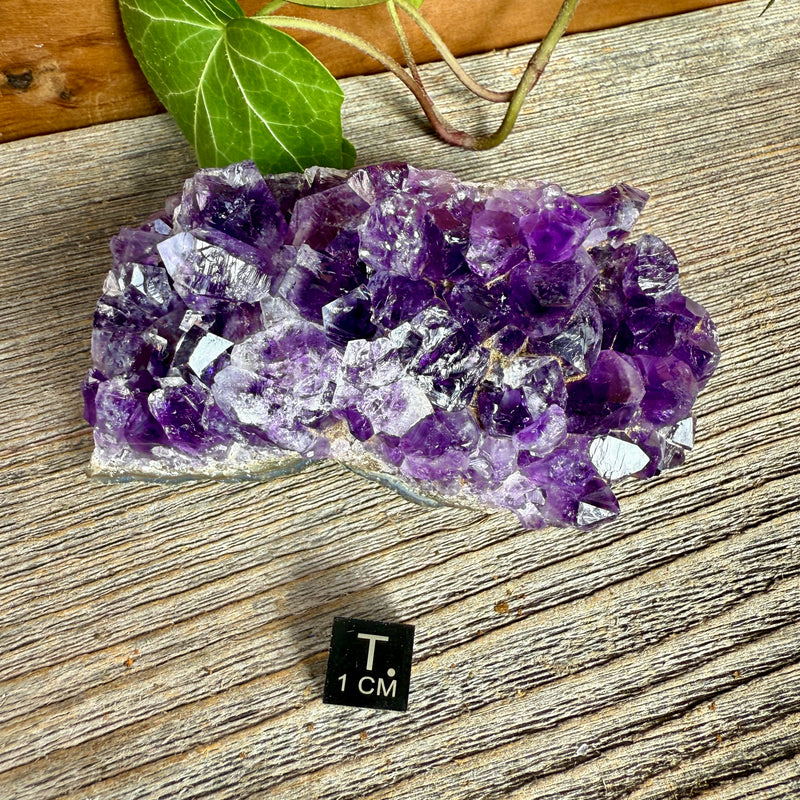 Amethyst Crystal Cluster