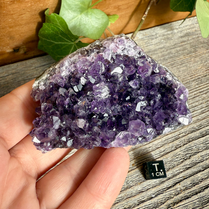 Amethyst Crystal Cluster