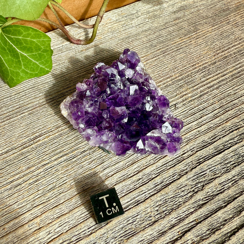 Amethyst Crystal Cluster