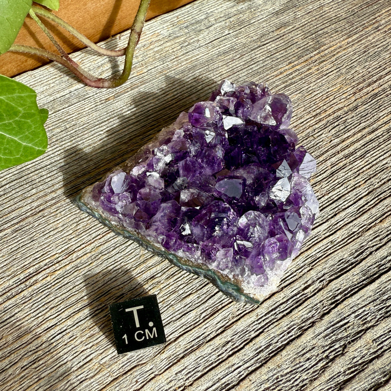 Amethyst Crystal Cluster
