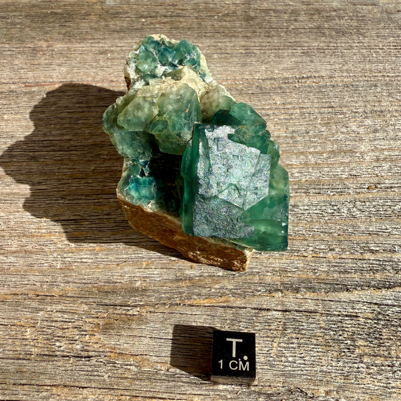 Fluorite Crystal Cluster