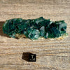 Fluorite Crystal Cluster