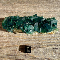 Fluorite Crystal Cluster