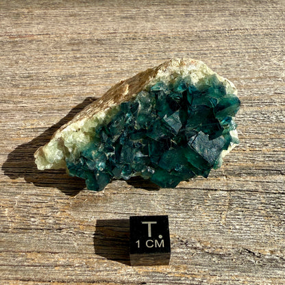 Fluorite Crystal Cluster