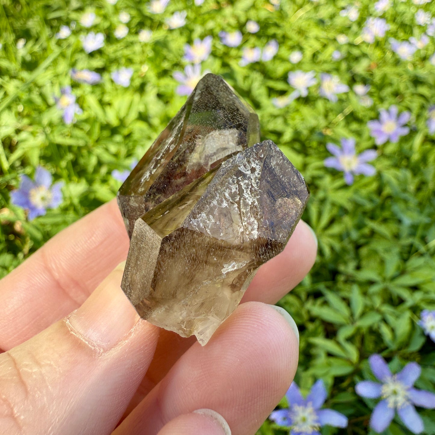 Elestial Smoky Quartz Crystal