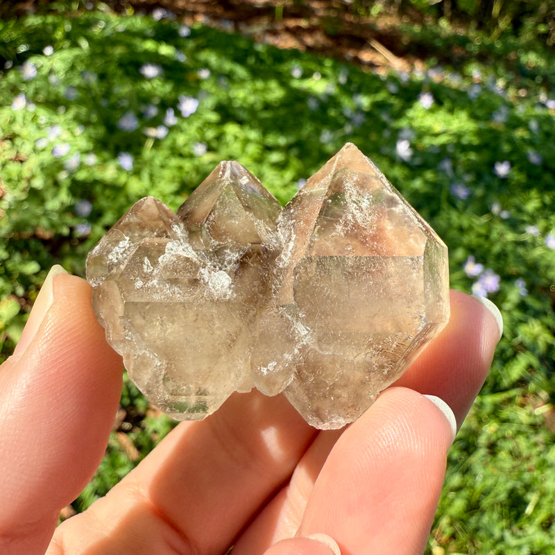 Elestial Smoky Quartz Crystal