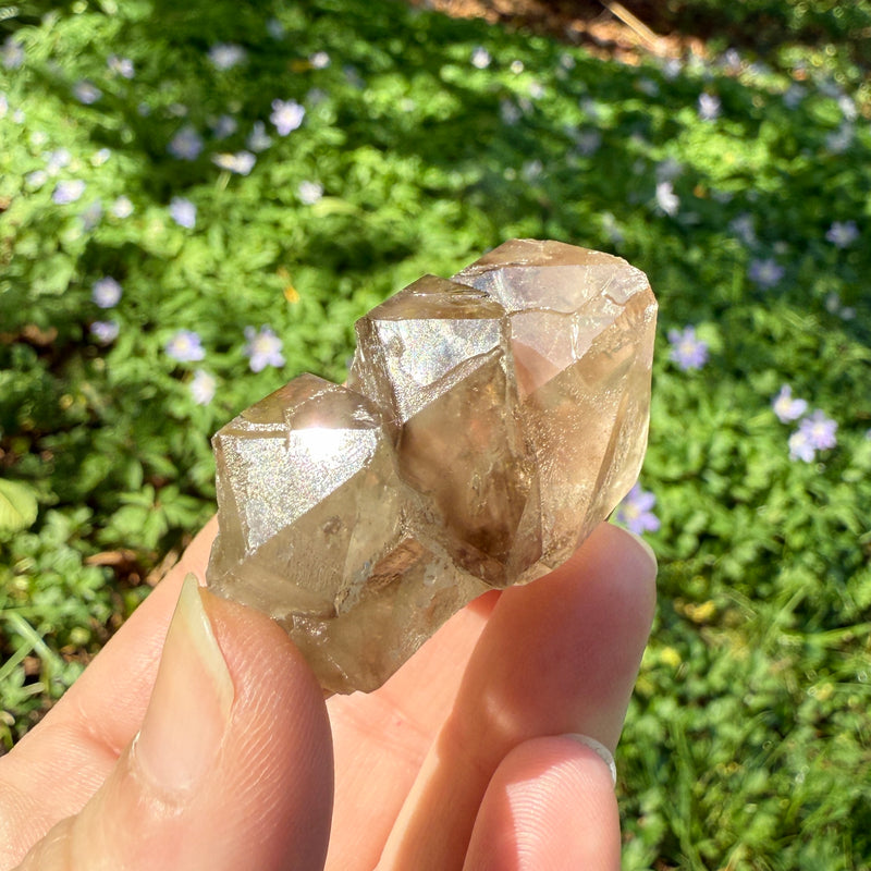 Elestial Smoky Quartz Crystal