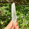 Lemurian Quartz Crystal